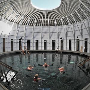 Warm Springs Pools Indoor
