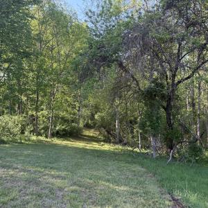 Wooded Area