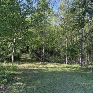 Wooded Area