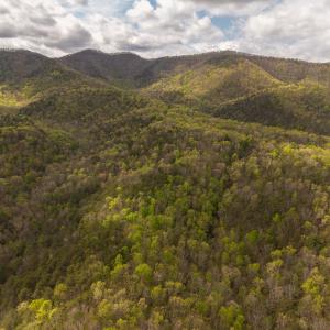 DJI_20260422152858_0102_D