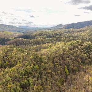 DJI_20260422161605_0153_D