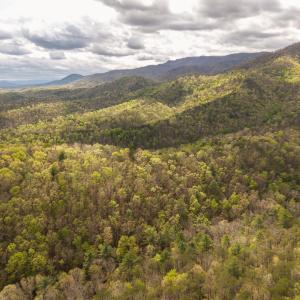 DJI_20260422152850_0101_D