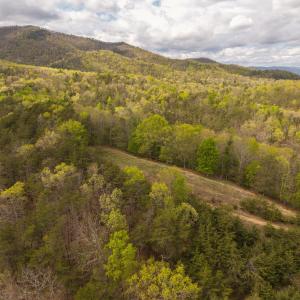 DJI_20260422153737_0132_D