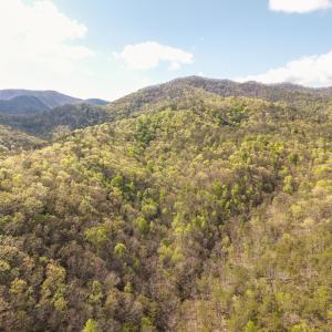 DJI_20260422162924_0169_D