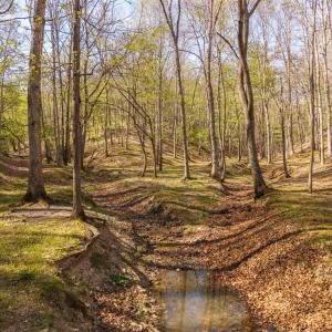 DJI_20260422162535_0162_D