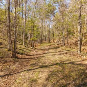 DJI_20260422162636_0165_D