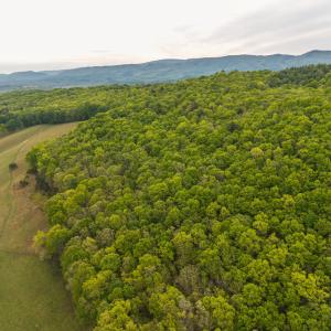 DJI_20260509071843_0062_D