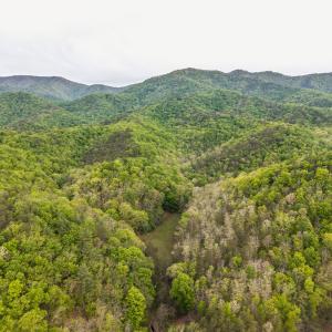 DJI_20260509071232_0046_D