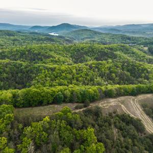 DJI_20260509064853_0031_D