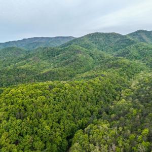 DJI_20260509064810_0029_D