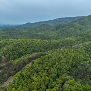 DJI_20260509063754_0004_D