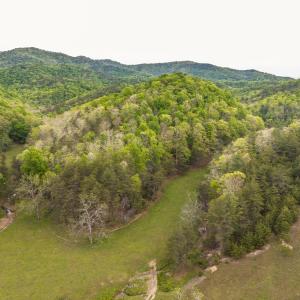 DJI_20260509071210_0044_D