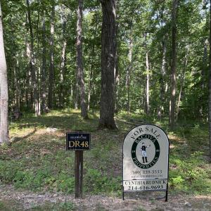 Delafield Rise Lot #48