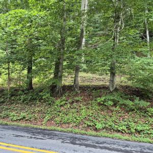 TBD Blue Ridge Road