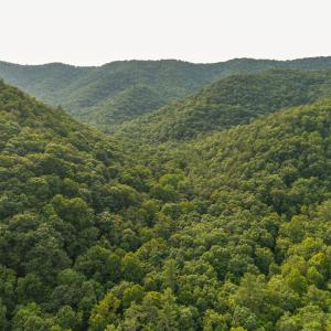 DJI_20260715175056_0020_D