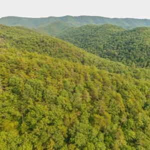 DJI_20260715175042_0018_D