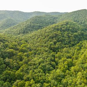 DJI_20260715174947_0014_D