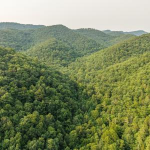 DJI_20260715174623_0003_D