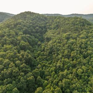 DJI_20260715174606_0002_D