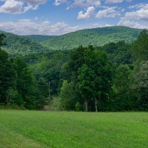 MLS Blue Ridge Trl Land-4