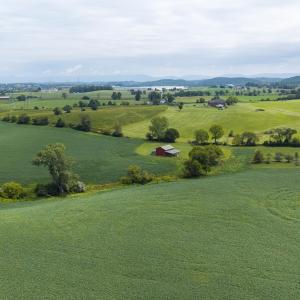 20260818-DJI_20260818125549_0675_D