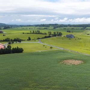 20260818-DJI_20260818125556_0677_D-Edit