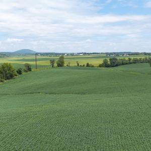 20260818-DJI_20260818125331_0665_D
