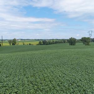 20260818-DJI_20260818125250_0658_D