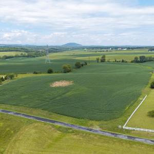 20260818-DJI_20260818125159_0653_D-Edit
