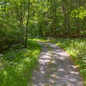 MLS Hollow Lane-16