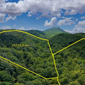 MLS Hollow Lane-11