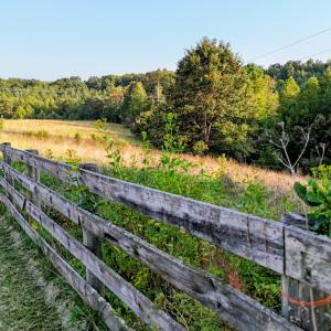 TBD Adair Hill