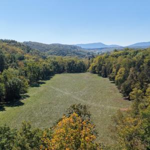 DJI_20261001134539_0295_D