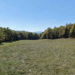 DJI_20261001134601_0296_D