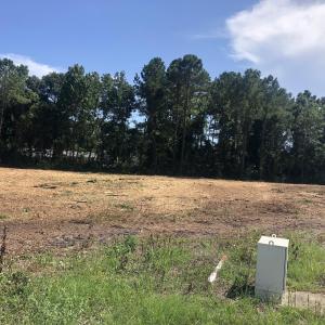 View of nature featuring a rural view