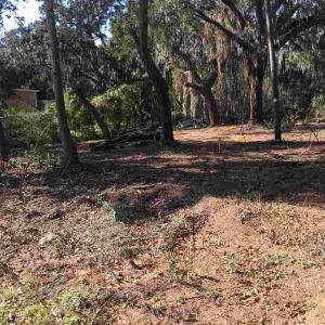 Photo #1 of Ocean Highway, Pawleys Island, SC 1.5 acres