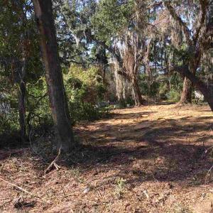 Photo #3 of Ocean Highway, Pawleys Island, SC 1.5 acres