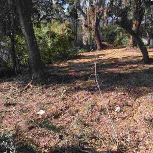 Photo #6 of Ocean Highway, Pawleys Island, SC 1.5 acres