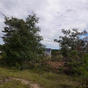 Photo #28 of Tract 1 Highway 9, Little River, SC 61.7 acres