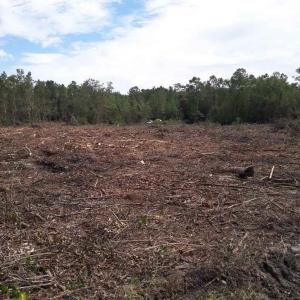 Photo #25 of Tract 1 Highway 9, Little River, SC 61.7 acres
