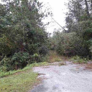 Photo #5 of Tract 1 Highway 9, Little River, SC 61.7 acres