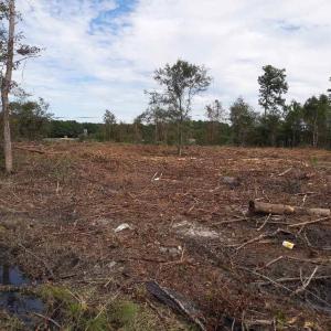 Photo #25 of Tract 1 Highway 9, Little River, SC 61.7 acres