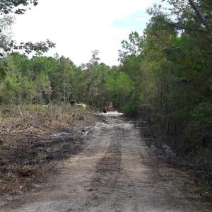 Photo #30 of Tract 1 Highway 9, Little River, SC 61.7 acres