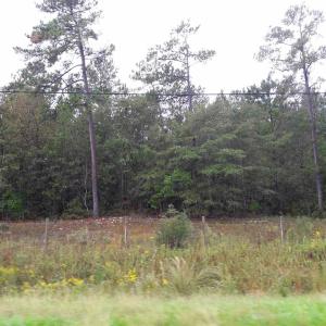 Photo #12 of Tract 1 Highway 9, Little River, SC 61.7 acres