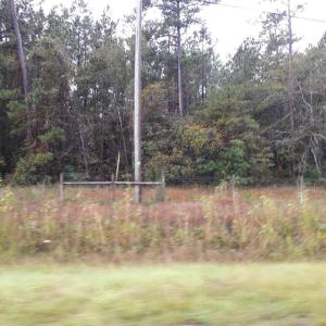 Photo #11 of Tract 1 Highway 9, Little River, SC 61.7 acres