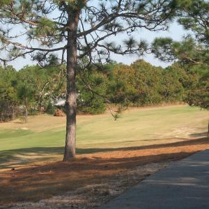 View from cart path