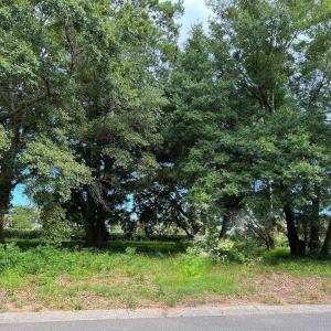Photo #1 of Portion Wall St., Pawleys Island, SC 0.5 acres