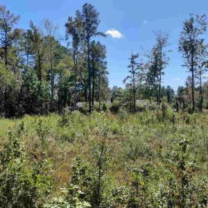 Photo #2 of Lot 60 Wisteria Dr., Hemingway, SC 0.4 acres