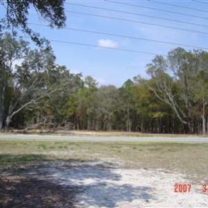 Primary Photo