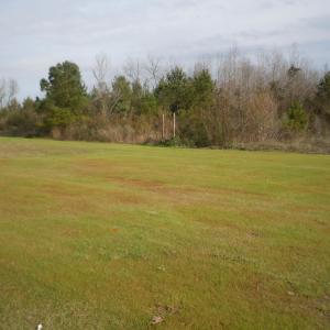Mollie Road Pics 005